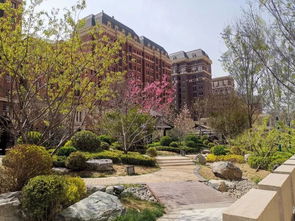 還能在河西中心買到高品質(zhì)的 嗎