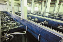 瀑布公園和第十一污水廠今年建成2014年01月10日 星期五a14 今日關注