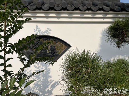 裕東公園建成開(kāi)放 昔日違建徹底拆除 精品游園芳容初顯