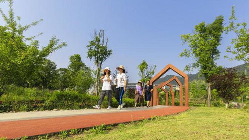 最美 無(wú)廢 南川區(qū)濱河公園喜提新稱號(hào)