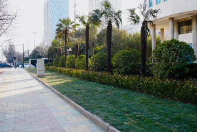 城鄉一體化示范區城管局拆墻透綠有力度