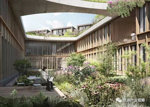 提高森林公園競爭力的五大旅游產(chǎn)品