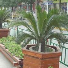 民昕園林環(huán)衛(wèi)設(shè)施實(shí)業(yè)