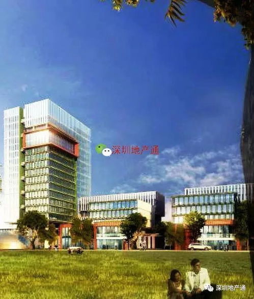 保稅區(qū)舊廠重建后,人就像在公園里辦公