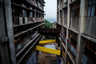 春節(jié)假期重慶三日游攻略 探索山城風(fēng)情與園林實業(yè)魅力