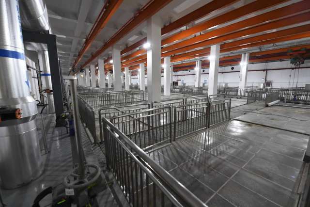 綠茵之下，匠心筑夢 一座公園的園林實(shí)業(yè)密碼